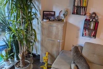 Apartament cu 3 camere decomandat, mobilat în Aviației - 9