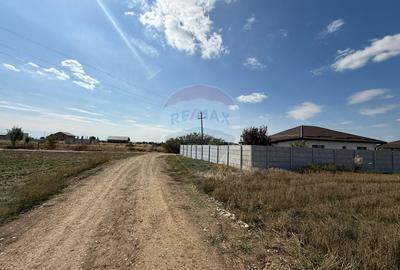 Vand teren intravilan 10.000 mp in Sabareni - 2