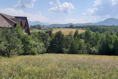Teren intravilan de vanzare - Bran, sat Sohodol - 5