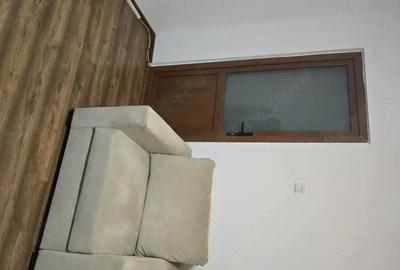 Apartament cu 2 camere semidecomandat în Banat - 4