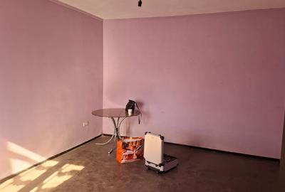 Casă individuală cu 3 camere cu Teren 575 Mp în Aradul Nou - 14