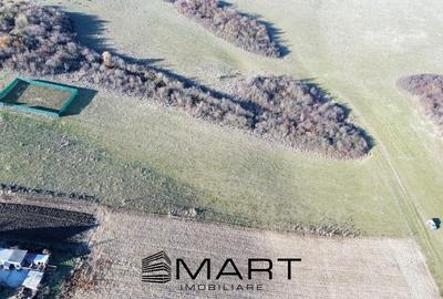 Teren extravilan 650mp Rusciori - 3