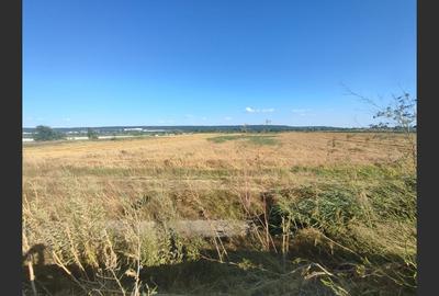 OFERTĂ PREMIUM - Teren intravilan 6.000 mp, Micești (Arges), pe DN 73 - 6