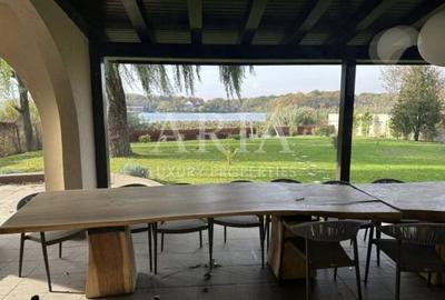 VILA SNAGOV WATERFRONT - PISCINA - PONTON 40M DESCHIDERE LA LAC - 5