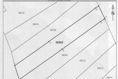 Teren extravilan 10 ari, cu casu?a din lemn, vie, livada, panorama Teren extravilan 10 ari, cu casu?a din lemn, vie, livada, panorama - 2