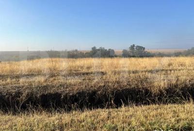 Teren de 2500 mp, în Bucovăț