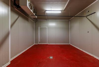 Spațiu industrial, de 1,285 mp, în Dumbrăvița - 12