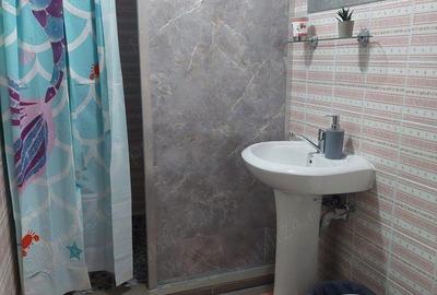 Inchiriez hotel in Baneasa - 9