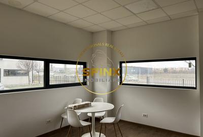 Spațiu industrial, de 760 mp, în Mogoșoaia - 10