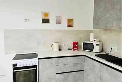 Apartament (spatiu de birou) in vila interbelica Unirii/Parcul Carol - 3