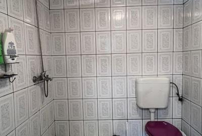 Casa cu 3 camere | str Garlei | teren 166 mp - 8