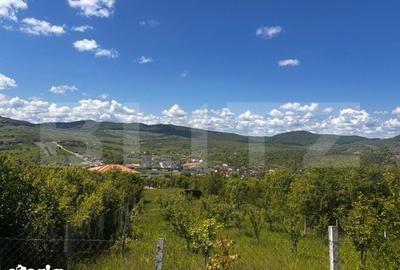 Teren de 2500 mp, în Șieu - 3