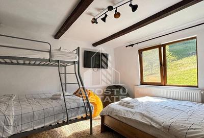 Cabana de inchiriat in Apuseni, Ciubar, Fara vecini, Fois... - 15