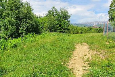 Teren pentru casa de vacanta , Pestera , Brasov - 8