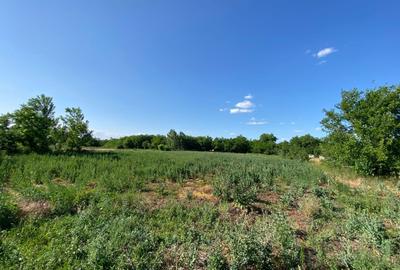 Casa de vacanta , 2 cam, teren 3.381 mp - 20