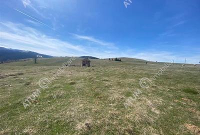 Teren intravilan 3000 mp cu utilitati in Paltinis judet Sibiu - 6