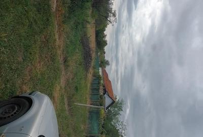 Teren în Petrovaselo - 1