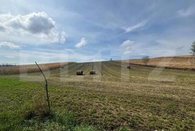 Teren de 7800 mp, în Central