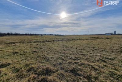 Teren Construcții intravilan de 6400 mp, în Pădureni (Jebel) - 12