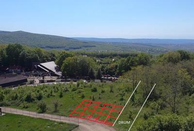 Teren Construcții intravilan de 850 mp, în Pietrărie