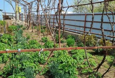 Casă cu 4 camere cu Teren 180 Mp în Răchiți - 8