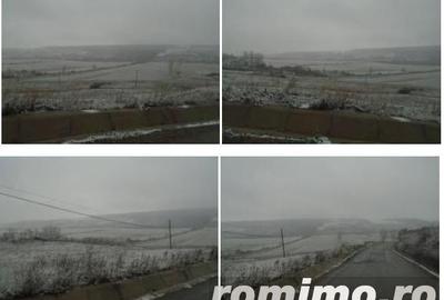 Teren Extravilan Corbita, ID: R1966394 - 3