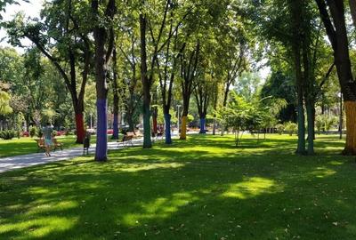 Apartament cu 2 camere semidecomandat, mobilat în Floreasca - 1