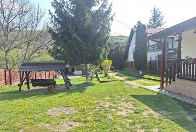 Casa de Vacanta - Un Colt de Rai , Stefanesti-Arges - 12