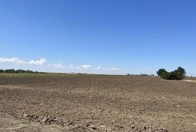 Spațiu comercial, în Năvodari Tabără - 3