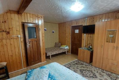 Spațiu comercial, de 450 mp, în Lepșa - 15