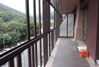 Apartament cu 2 camere decomandat, mobilat în Răcădău - 6