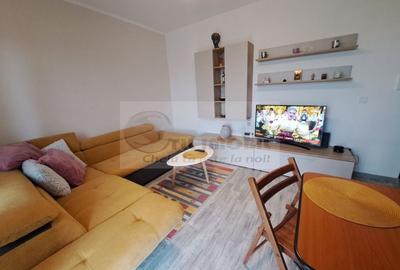 De inchiriat apartament 2 camere, mobilat modern, Valea Lupului - 5