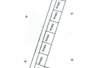 Teren de 500 mp, în Brestei