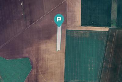 Teren agricol extravilan de 36000 mp, în Peciu Nou - 2
