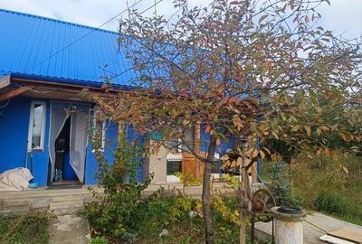 Casă individuală cu 2 camere cu Teren 4500 Mp în Mirău - 8