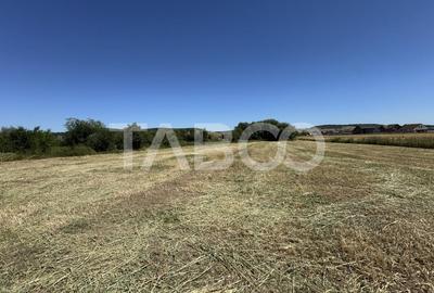 Teren intravilan 3752 mp parcelabil zona fostelor sere Cristian Sibiu - 5