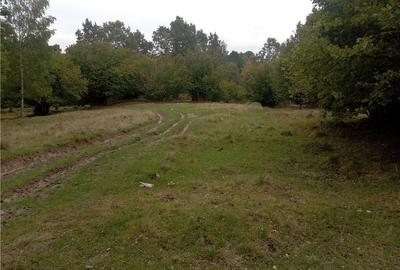 Teren de 16800 mp, în Central - 4
