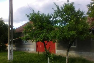 Casă cu 4 camere în Macea - 4