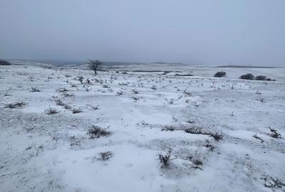 Spațiu comercial, în Daia - 4