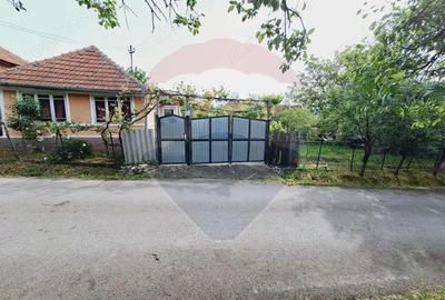 Casa cu teren 3100mp in Hidiselu de Sus - 1