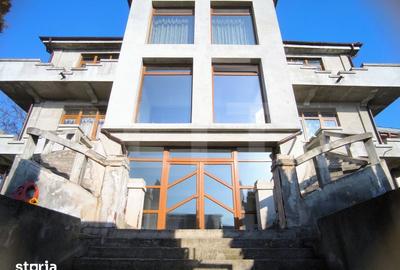 Spațiu comercial, de 550 mp, în Calea Severinului - 1