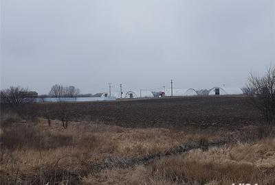 Teren de 7514 mp, în Potigrafu - 2