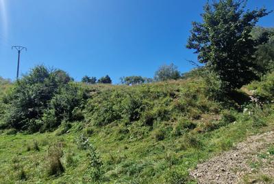 Teren extravilan de 17940 mp, în Vama - 3