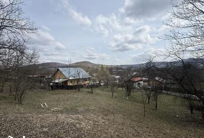 Teren de 6040 mp, în Provița de Jos - 10