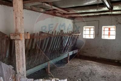 Casă individuală cu 4 camere cu Teren 11016 Mp în Valea Babei - 27