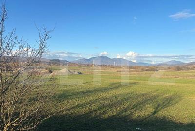 Teren extravilan 1000 mp, zona Livezile - 4