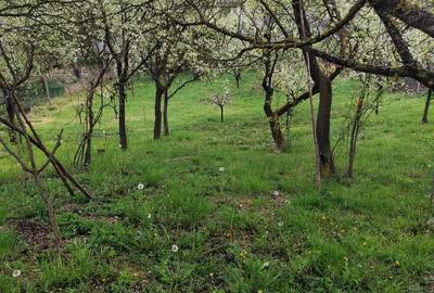 Teren de 1079 mp, în Săndulești - 3