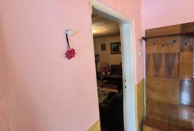 Casă individuală cu 3 camere cu Canalizare în Alexandriei - 17