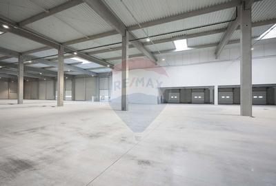 Hala de vanzare, Sc 7014mp, Zona Biharia - 8