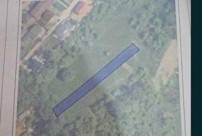 Spațiu comercial, în Central - 2